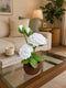 White Rose Crochet Flower Pot