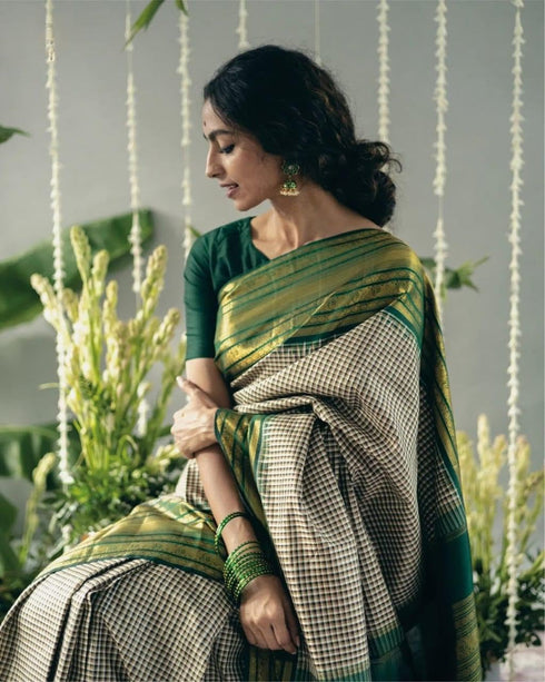 Vasthrlay Traditional Unstitched Saree