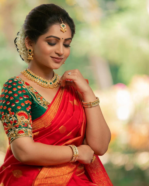 Vasthrlay Banarasi Traditional Saree