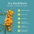 Seabuckthorn Premium Super Fine Powder