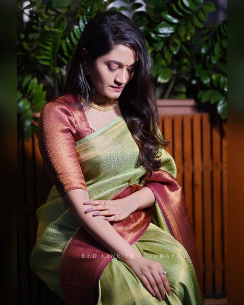 Vasthrlay Banarasi Unstitched Saree