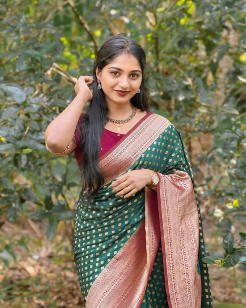 Vasthrlay Kanjivaram Saree