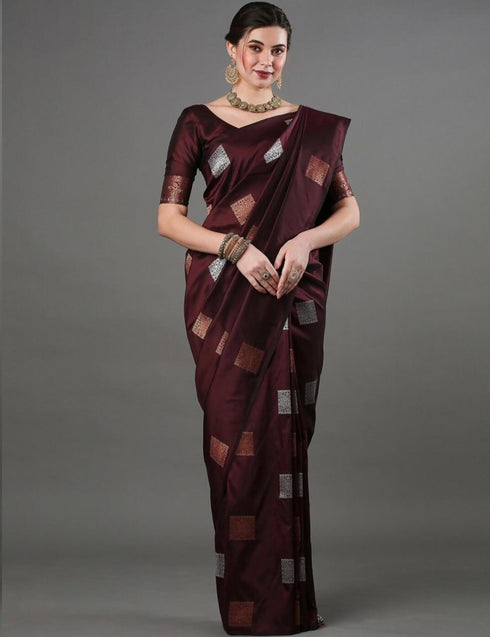 Vasthrlay Banarasi Traditional Saree