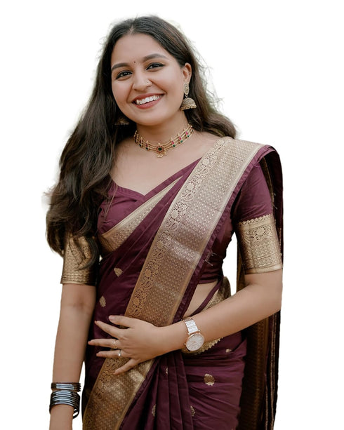 VasthrlayBurgundy Banarasi Kanchipuram Saree