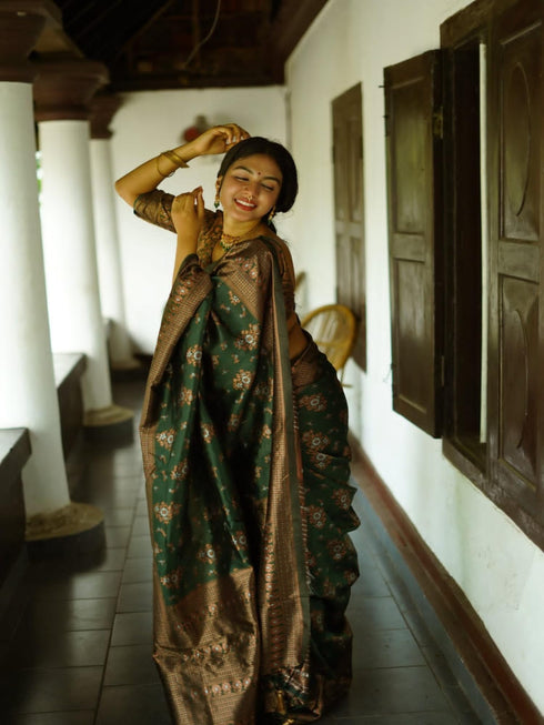 Vasthrlay Banarasi Border Saree