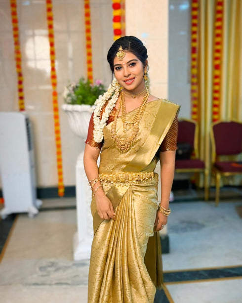 Vasthrlay Traditional Saree