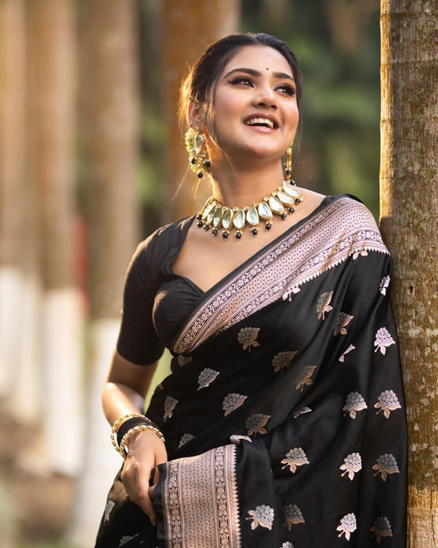 Vasthrlay Banarasi Saree