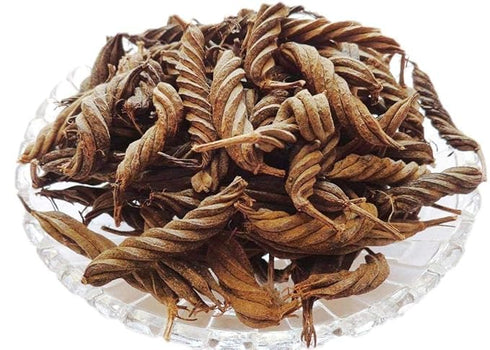 YUVIKA Marod Phali - Marori - Helicteres Isora - Avaitini Screw Beans