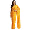 Vasthrlay Chiffon Printed Unstitched Rani Saree