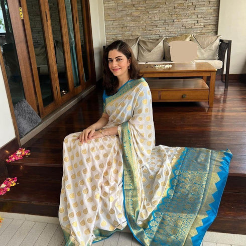 Vasthrlay Traditional Jacquard Reception Ceremony