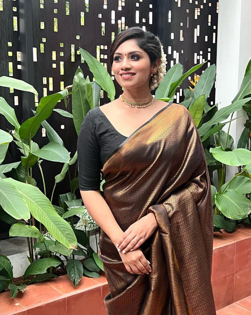 Vasthrlay Banarasi Border Saree