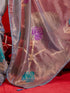 Vasthrlay Shimmer Light Saree