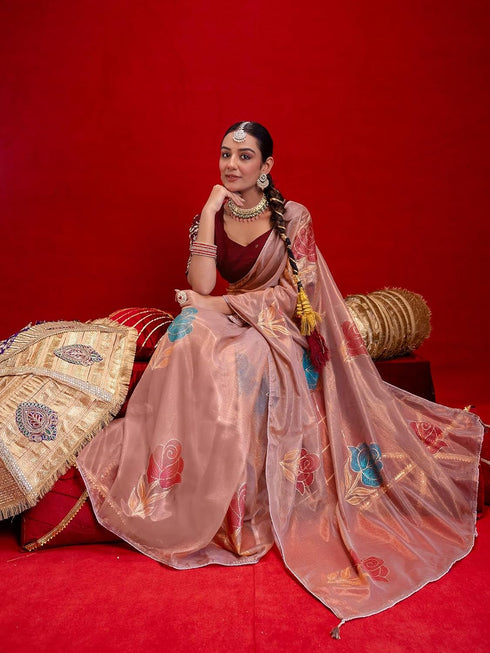 Vasthrlay Shimmer Light Saree