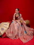 Vasthrlay Shimmer Light Saree