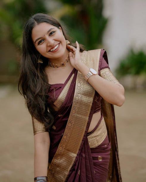 VasthrlayBurgundy Banarasi Kanchipuram Saree