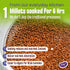 Early Foods Foxtail Millet Dates Porridge Mix