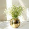 Behoma Golden Vase