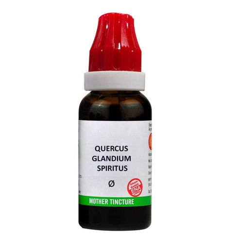 Bjain Quercus Glandium Spiritus Q Mother Tincture