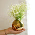 Behoma Golden Vase