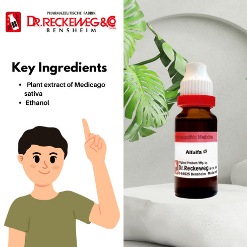 Dr. Reckeweg Alfalfa Mother Tincture Q