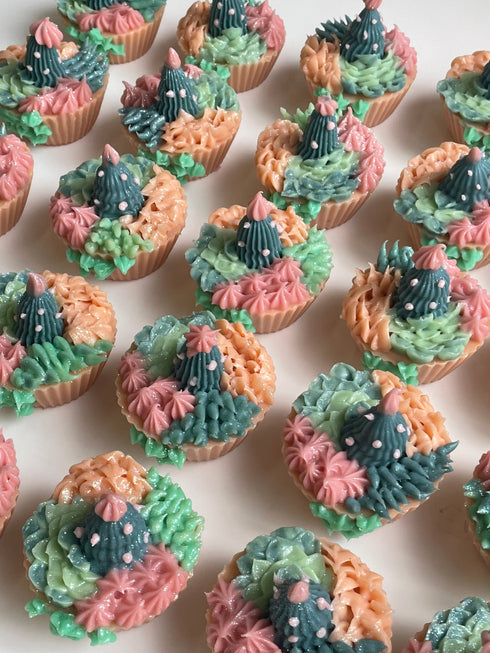 The Sass Bar Llama Desert Box