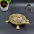 Tamas Brass Good Luck Ganesh Tortoise for Vastu(Golden)