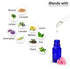 Keya Seth Aromatherapy Geranium Essential Oil