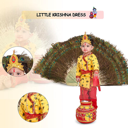 Raj Fancy Dresses Radha and Krishna Feather| Print Janmashtami Mythological Character Costume