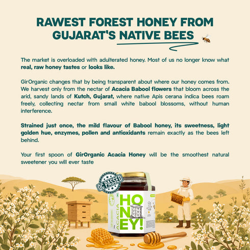 GirOrganic Acacia Honey