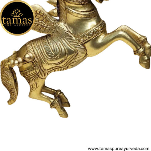 Tamas Brass Handcrafted Pegasus (Flying Angel Horse) with Antique Finish