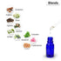 Keya Seth Aromatherapy Orange Essential Oil