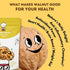 Healthy Master Premium Quality Walnuts |With Shell