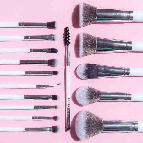 Praush 16 Pcs Professional Makeup Brush Set (Face + Eyes)