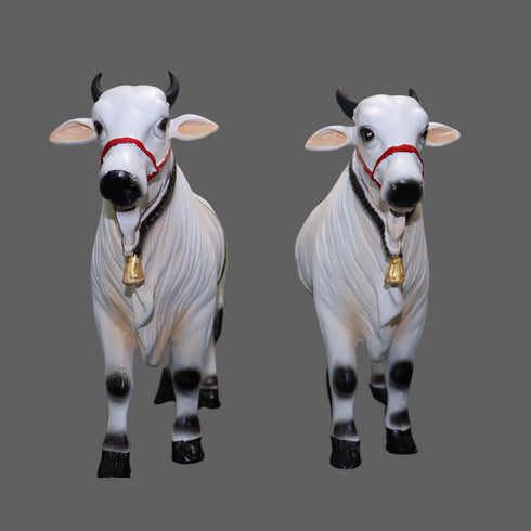 Large Fiber Ongole Bull Pair - Table Decoration Figurines