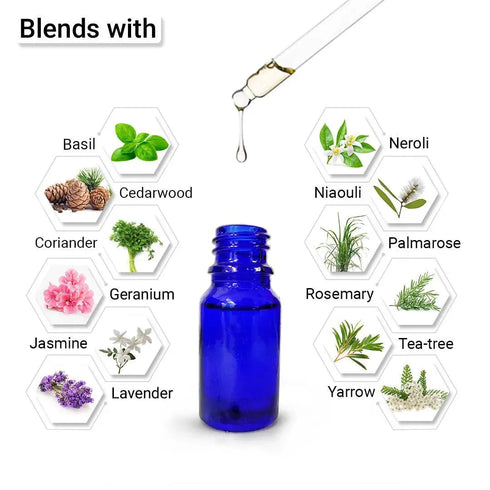 Keya Seth Aromatherapy Lemongrass Essential Oil