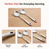Vinod Stainless Steel Queen Kabdir Serving Spoon Cooking Spoon Spatula Set of 2 37 cm Long Handle High Grade Stainless Steel Rust Free Dishwasher Safe No 1