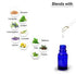 Keya Seth Aromatherapy Eucalyptus Essential Oil