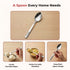 Vinod Moscow Stainless Steel Spoon Set of 12 Piece Heavy Gauge Steel Mirror Finish Rust Free Tough Strong and Durable Easy to Clean