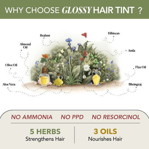 Paradyes Berry Plum Glossy Hair Tint