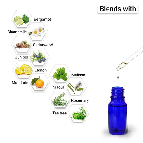 Keya Seth Aromatherapy Thyme Essential Oil