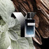 YSL Eau De Parfum | Fresh Sage & Woody Fougere Fragrance For Men