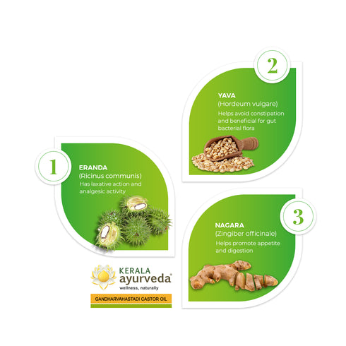 Kerala Ayurveda Gandharvahastadi Castor Oil