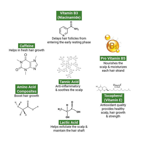 Keya Seth Aromatherapy Absolute Hair Growth Serum Treatment Kit Shampoo & Solution with Biotin, Rosemary & Ginseng