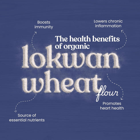 Bharat Vedica Organic Lokwan Wheat Flour Organic Lokwan Gehu ka Atta