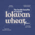 Bharat Vedica Organic Lokwan Wheat Flour Organic Lokwan Gehu ka Atta