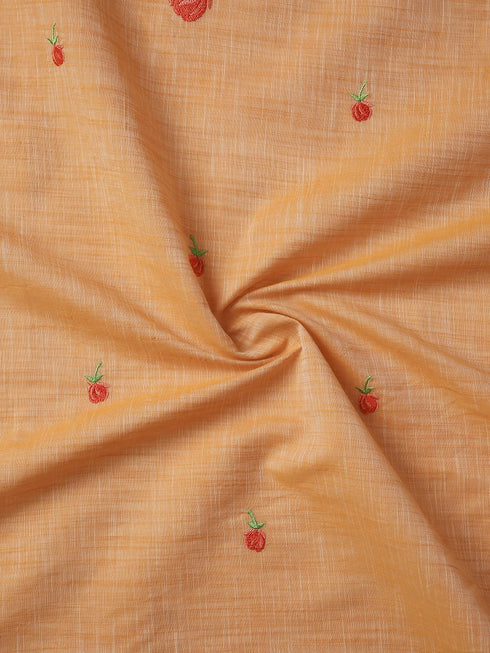 Vasthrlay Handloom Embroidered Apricot Saree
