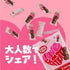KIT KAT Japan Heartful Bear Special KitKat | Valentine’s Day Gift