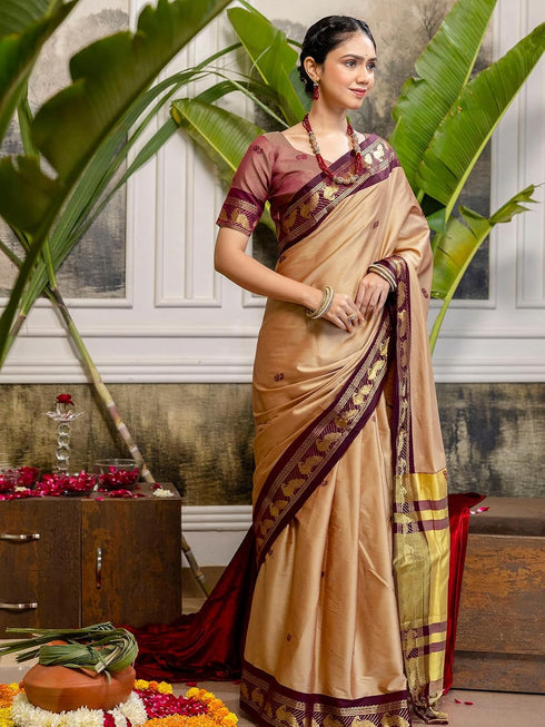 Vasthrlay Weaving Khaki Saree