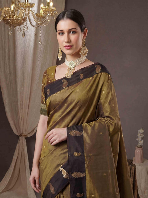 Vsathrlay Saree Kery Patta