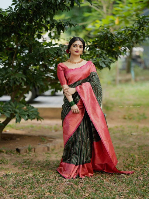 Vasthrlay Banarasi Saree
